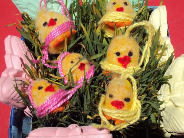 chicks