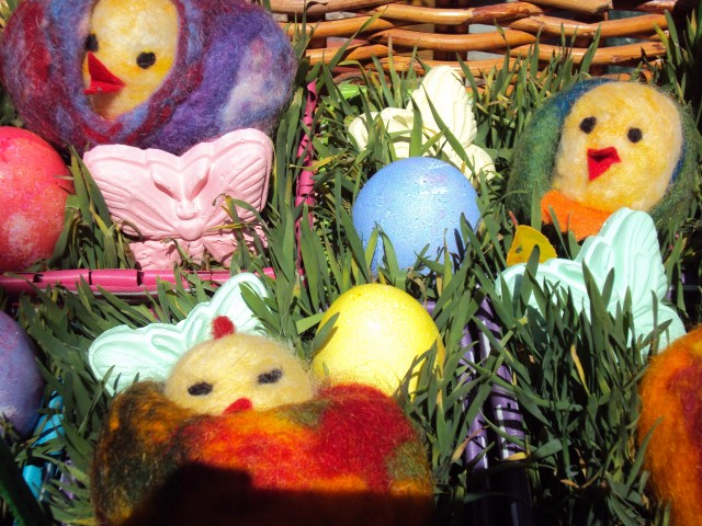 Chicks
