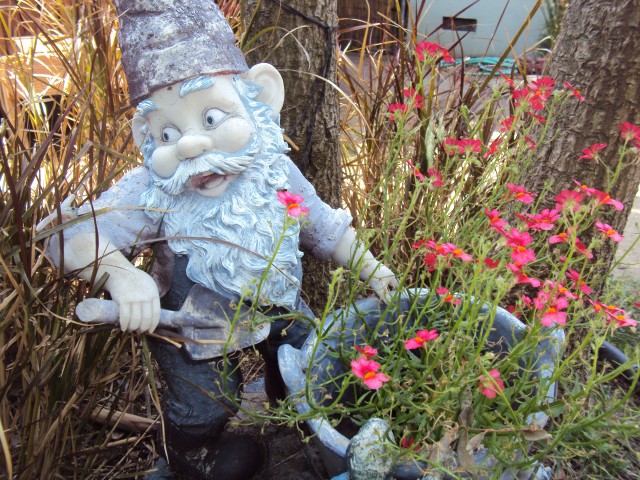 DSC05059